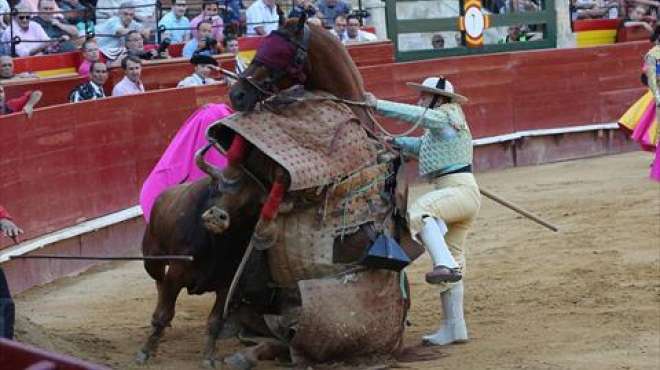 بالصور| ثور هائج يصيب مصارع وحصانه في إسبانيا 