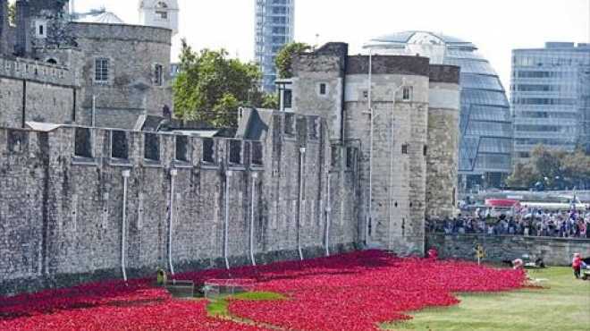 بالصور.. ديلي ميل: برج لندن يستعد لزراعة 800 ألف زهرة خشخاش إحياءً لذكرى الحرب العالمية الأولى