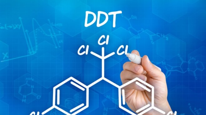 مبيدات دي دي تي مرتبطة بإبطاء عملية التمثيل الغذائي والسمنة ومرض السكر