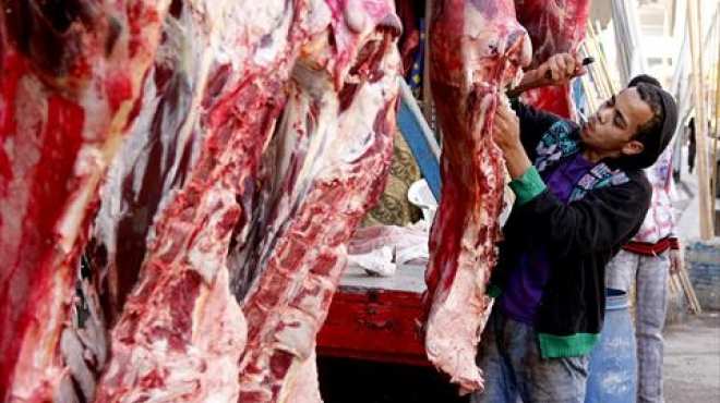 الزراعة: 55 جنيها سعر كيلو اللحم البلدي.. و45 للمستورد في عيد الأضحى