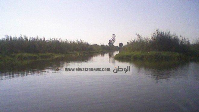 ضبط 182 قضية بحملة مكبرة لمديرية أمن بورسعيد في بحيرة المنزلة 