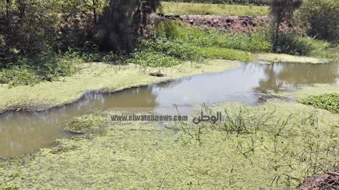 استغلال مياه الصرف الصحي في  المشروعات الزراعية في ندوة بمطروح 
