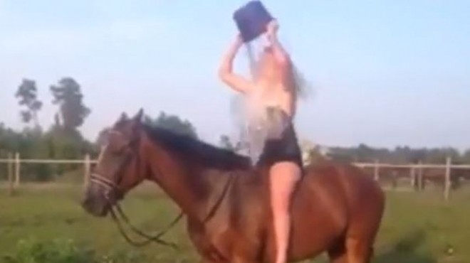 بالفيديو| حصان يعاقب فتاة بسبب تحدي 