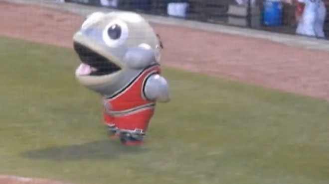 بالفيديو| كلب بحر يبتلع لاعب بيسبول في 