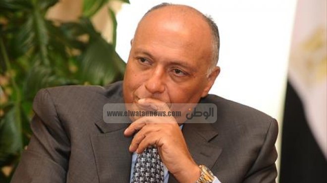 وزير الخارجية: لا نتوقع رفض الغرب تمثيل مصر بمجلس الأمن