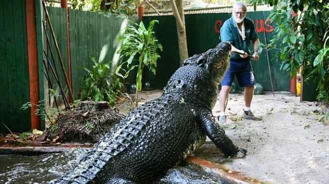 بالصور| صداقة بين صياد أسترالي وأكبر تمساح في العالم لمدة 30 عاما