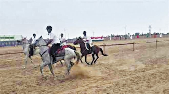 مهرجان الخيول العربية بالشرقية