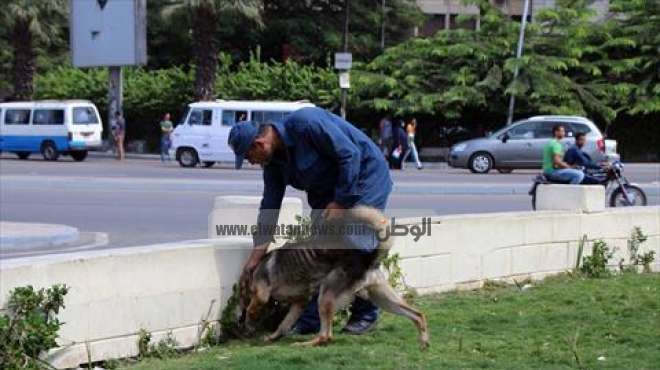 الأمن يمشط جامعة عين شمس بالكلاب البوليسية بعد العثور على قنبلة