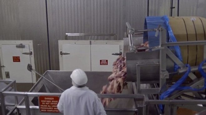 بالفيديو والصور| مراحل تصنيع اللحوم داخل مصانع 