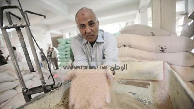 نقيب الفلاحين: إنتاج القمح فى مصر سيصل إلى ١٠ ملايين طن عام ٢٠١٧