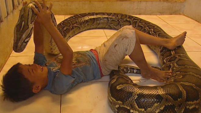 بالصور| صداقة قوية تجمع بين طفل كمبودي وثعبان طوله 5 أمتار 