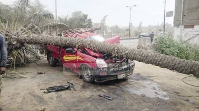 8 ضحايا جدد لـ«أمشير»: مقتل 3 مواطنين وإصابة 5 بسبب «الرياح العاتية»