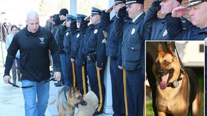 رجال شرطة في وداع رسمي لكلب.. 