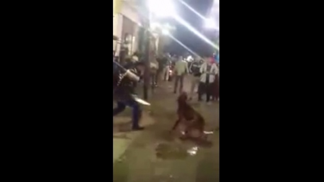 أهالى شارع الأهرام يشاركون في قتل الكلب معنويا