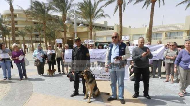 بالصور| سياح الغردقة ينظمون وقفة احتجاجية تضامنا مع كلب