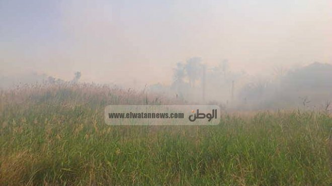 القوات المسلحة تساهم في إخماد حريق إحدى مزارع النخيل في سيوة