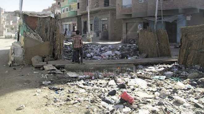 إزالة 230 طن قمامة من حي العامرية ثان في الإسكندرية