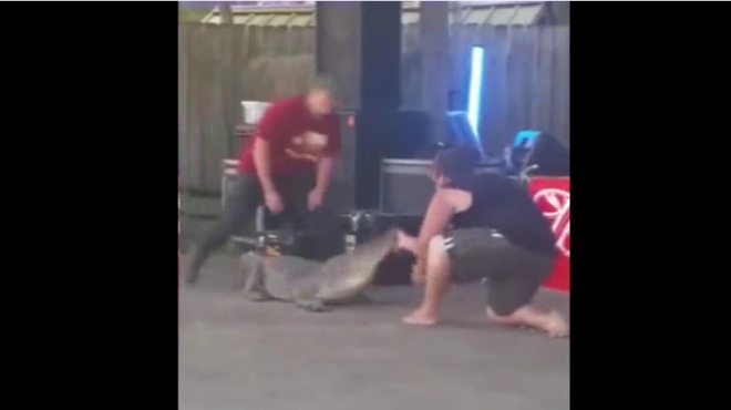 بالفيديو| تمساح يهاجم مدربه ويتسبب له في إصابات بالغة 