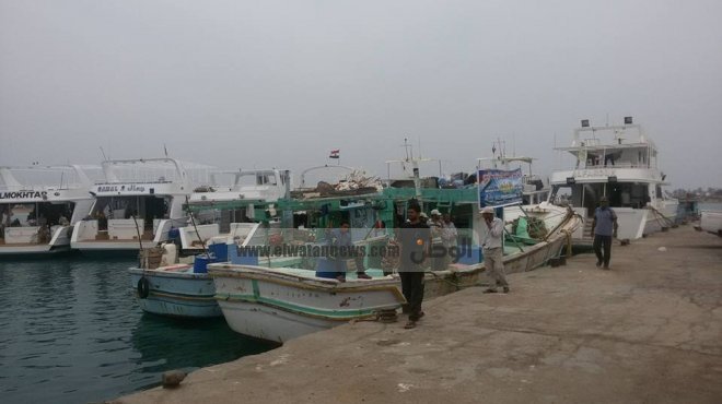 إنشاء مصنع ثلج ومنح 30 رخصة لجمعية الصيادين بجنوب سيناء