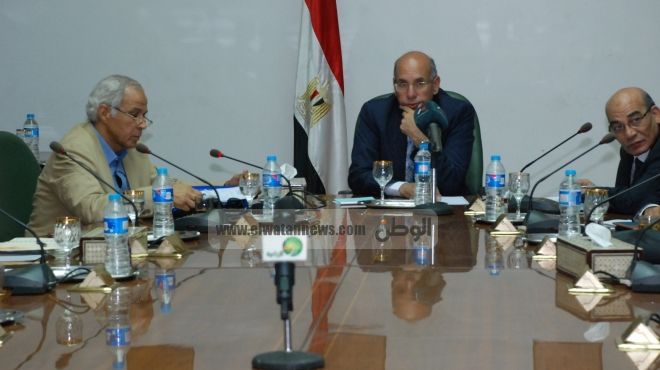 مصر تتلقى عروضا إماراتية وسعودية للاستثمار الزراعي بقيمة 3 مليارات 