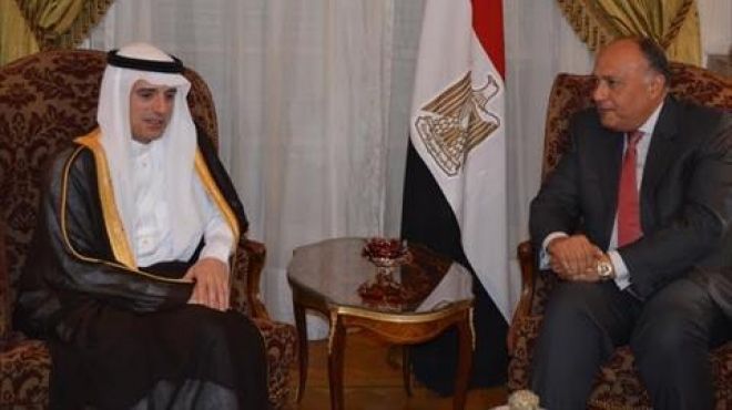 دبلوماسيون: خلاف بين مصر والسعودية حول حل أزمة سوريا
