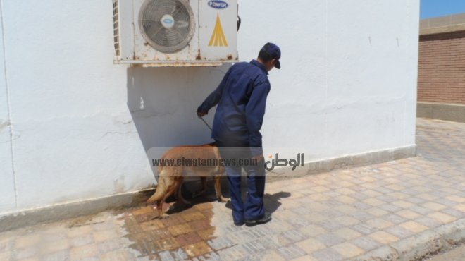 بالصور| الكلاب البوليسية تمشط محيط محكمة جنوب سيناء الابتدائية