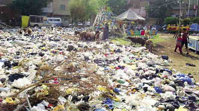«شبرا».. حديقة الشيخ رمضان سكنتها القمامة فتحولت إلى ملجأ للأغنام