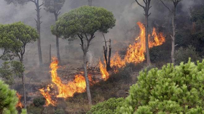 اندلاع حرائق في غابات بإسبانيا والبرتغال بسبب موجة حارة