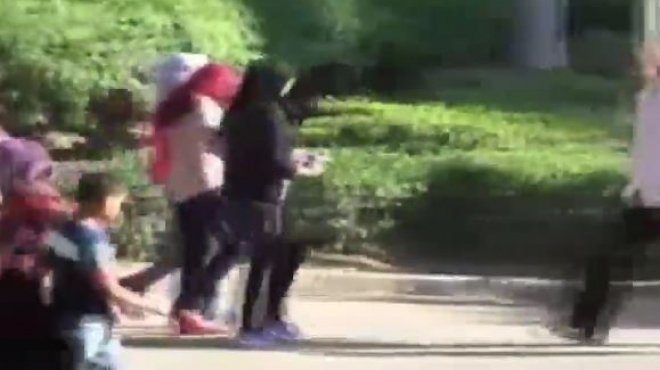 بالفيديو| صبي يتحرش بفتاة خلال احتفالات العيد في حديقة الأزهر