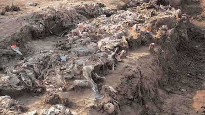  27 يوليو.. كولومبيا تبدأ نبش قبر جماعي واستخراج الجثث منه
