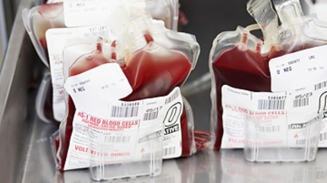  مديرة بنك الدم بقصر العيني: مخزون الدم سيتآكل إذا لم يكن هناك متبرعين