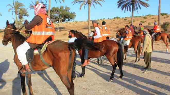  بدء فعاليات مهرجان الخيول العربية بالشرقية 