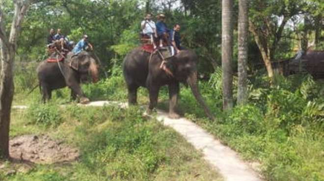 السائحون العرب: حصان فى الهرم أحسن من 100 فيل فى تايلاند
