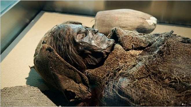  المتحف البريطاني يجري أبحاثا على 8 مومياوات مصرية