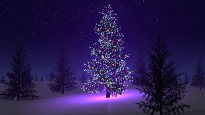  «شجرة عيد الميلاد» تختفى من الفنادق.. و«الكريسماس» يخاصم القاهرة 