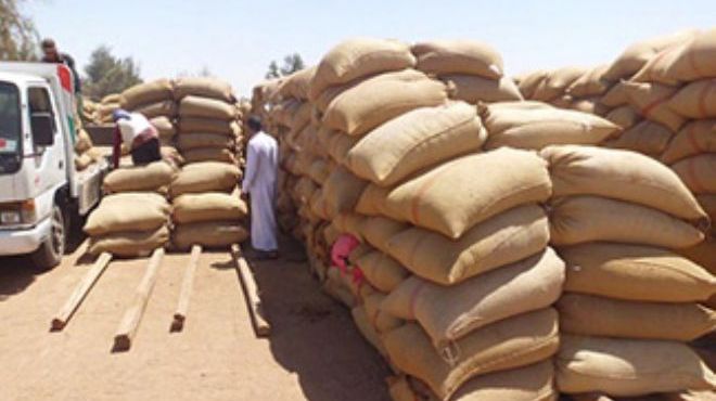 مصدر رسمي فرنسي: القاهرة تطلب مساعدة باريس في تخزين الحبوب واستيراد القمح