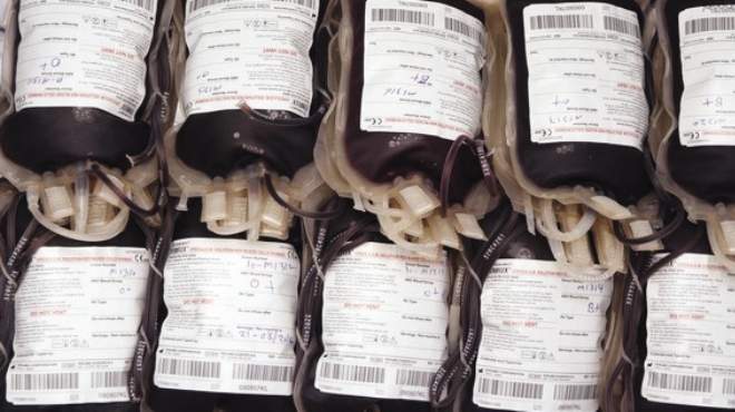 القليوبية: بنوك الدم أعلنت إفلاسها وأهالى المرضى «كعب داير»