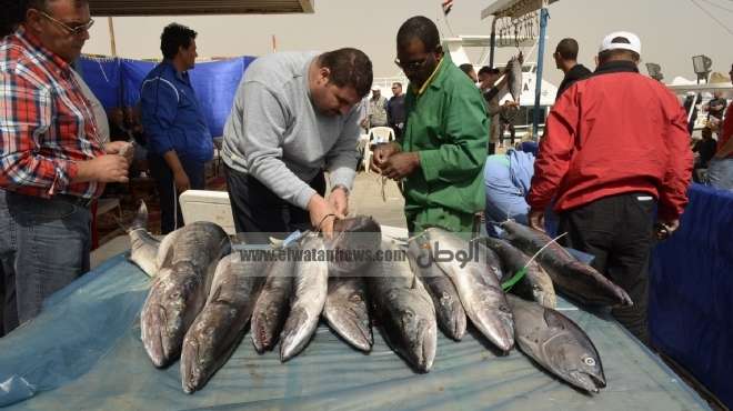  تجار الأسماك يوقفون الاستيراد حتى تراجع الحكومة عن زيادة الجمارك 