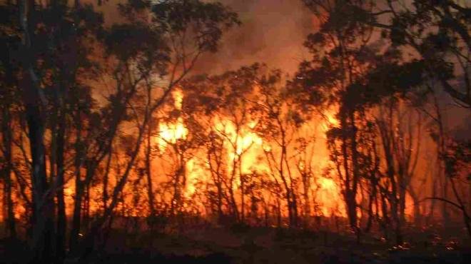 تركيا: حريق الغابات على الحدود السورية لا يبعث على القلق 