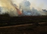 حريق هائل بأراض تابعة لوزارة الزراعة بكفر الشيخ