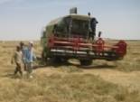 أزمة القمح: زحام على الصوامع.. وتجار يعرضون 50 جنيهاً أعلى من الحكومة