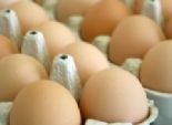 البيض الفاسد يعالج السكتة الدماغية والشيخوخة وقصور القلب