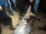  رئيس التيار الشيعي بمصر: حادث قرية 