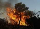 حرائق الغابات الأسترالية تدمر عدة منازل وتصيب رجل إطفاء بجروح