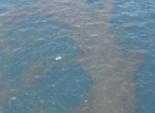 البيئة تحاصر تلوث زيتي بمساحة ٣٥٠ مترا في مياه البحر برأس غارب