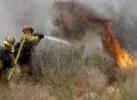بالصور| خمسة جرحى وإجلاء 1800 مواطن في حريق بإحدى الأراضي الزراعية في كاليفورنيا