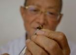 بالصور| علاج السرطان و الروماتيزم بلدغ النحل في الصين