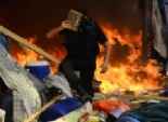 أمين «تقصى الحقائق»: الإخوان أحرقوا «رابعة» وقتلوا المعتصمين