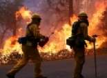 رجال الإطفاء في أستراليا ينجحون في احتواء حرائق الغابات
