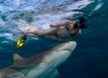  بالصور| فتاة تسبح مع القروش في جزر البهاما لإثبات أنها غير مفترسة 